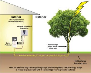 Surge protector diagram