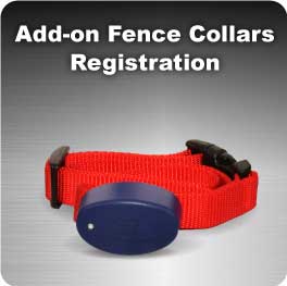 Dog Fence System