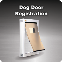 Dog Doors