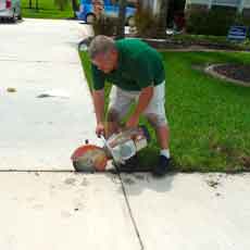 Cutting the concrete