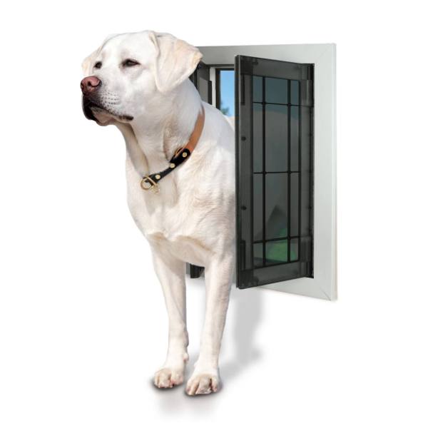 Swing Door - Dog coming out